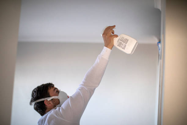 Best Black Mold Removal  in Poteet, TX