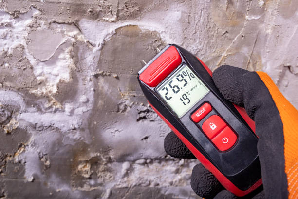 Best Residential Mold Removal  in Poteet, TX