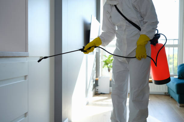 Best Home Mold Removal  in Poteet, TX