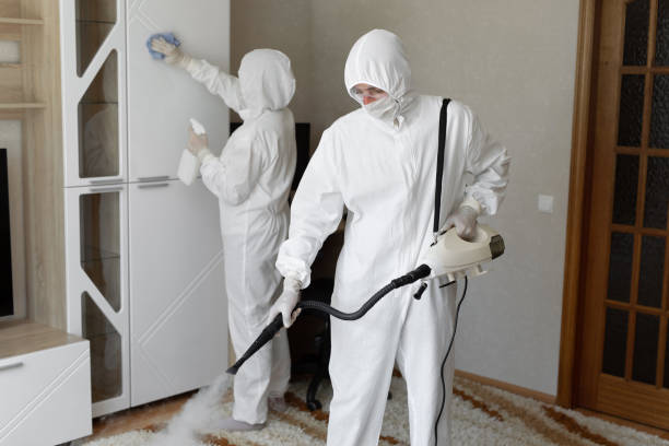 Best Residential Mold Removal  in Poteet, TX